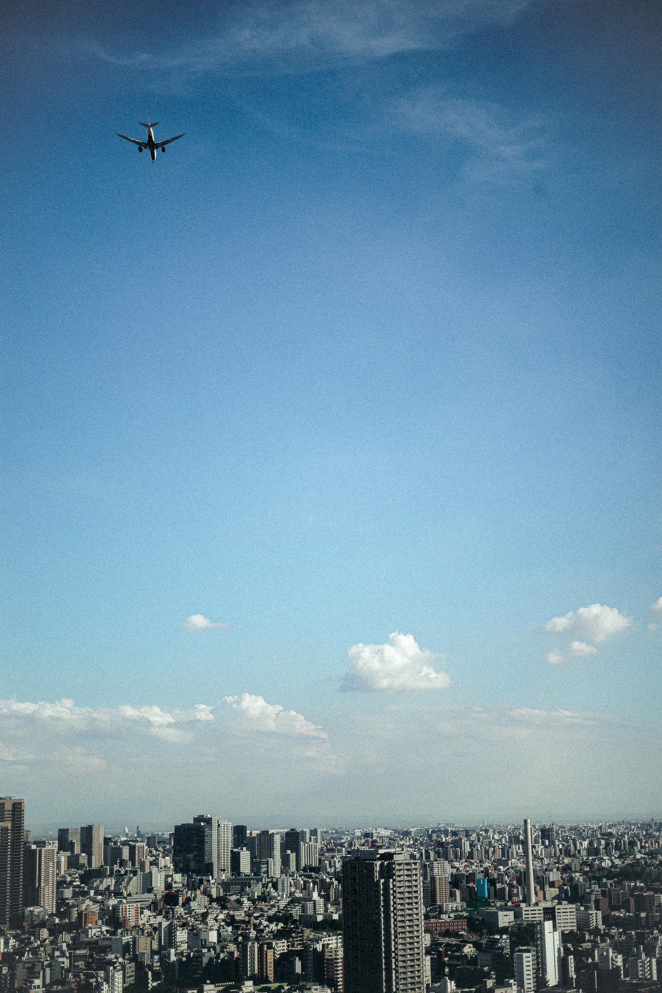 スイス堂 スイスドウ メガネ 眼鏡 めがね 眼鏡屋 メガネ屋 サングラス 時計 時計屋 東京 仙川 東京 調布 京王線 つつじヶ丘 千歳烏山 成城 世田谷 アンバレンタイン ANNEetVALENTIN マイキータ MYKITA ディータ DITA トムブラウン THOMBROWNE テオ THEO トラクション TRACTION レスカ LESCA ジャポニスム JAPONISM ベセペセ BCPC ミューゲ MUGUET スペックエスパス SPECESPACE オークリー OAKLEY エフェクター EFFECTOR マサヒロマルヤマ MASAHIROMARUYAMA ユウイチトヤマ YUICHITOYAMA デュアル DJUAL マイスドロートウキョウ MicedrawTokyo タレックス TALEX カールツァイス Carl Zeiss セイコー SEIKO ホヤ HOYA ニコン NIKON 二デック NIDEK 無相創 大杉漣 大杉隼平 日本 福井 福井県 鯖江 鯖江市 フランス パリ ドイツ ベルリン ベルギー アントワープ アメリカ ニューヨーク ロサンゼルス 古道具 アンティーク ビンテージ 無垢材 オーク インダストリアル 多肉植物 多肉 サボテン 水耕栽培 ドライフラワー アグラオネマ 花 店舗改装 SEYRIG Lesca LUNETIER “Vintage Crown Panto Black 6mm” MYKITA DAMIR DOMA BRADFIELD 丸めがね 工場 鯖江 金沢 福井県 BARNS SEIKO 銀座 時計塔 WAKO 全国一位 表彰 Lunor ルノア ドイツ THOMBROWNE 2018AW 大杉漣 教誨師 写真展 錆鉄御納戸(Sabitetsuonando) 鎚目 ポストカード メガネ拭き JAPONISM BCPC MUGUET KIDS キッズ 子供用メガネ 子供 photo by Shumpei Ohsugi サンタ サンタクロース クリスマス ハーバリウム feellog log blue water flowers 正月飾り LOVISA ライカ leiica 徳島 藍染 MONDAINE SWISS WATCH スイス モンディーン BRUTUS ブルータス 雑誌 漣さん 眼鏡 ベルギー アントワープ サンプル Dunedin Station udon うどん 徳島 新聞 カレンダー 藍染 平成 令和 JUST SING blue water flowers ROBERT MARC 御木 惇史 雨と山 ドラマー UNITED ライカ LEICA M 紫外線 対策 トランクショー 丸田ストアー 小金井 JAPONISM sence 写真集 ヴィンテージ フォトコンテスト 狛江 世田谷 成城 つつじヶ丘 blue water flowers 西荻窪 ふたあい 藍 藍染 NOHGA HOTEL UENO 1st Anniversary PARTY スペックエスパス specespace micedraw マイスドロー トウキョウ クリスマス 限定 サンキライ 年末年始 wonton ワンタン P4 CP+ super pose REBUILD メリークリスマス クリスマス Merry Christmas 2020 フリーマーケット モギ シンゴ 宍戸錠 伊勢丹 新宿 山吹 花 マルタンマルジェラ Maison Margiela テレワーク 在宅勤務 家メガネ セルロイド チャリティー Tシャツ EYEVAN アイヴァン チャリティー Tシャツ GERNOT LINDNER ゲルノットリンドナー 代官山 代官山スタジオ 徳島 阿波銀行 さばえ めがね キャンペーン PICA P38 P21 ICON OGRE GAB2 HERI GASTON BURT TORO LA CORB'S VINTAGE 1964 EYEVAN7285 10eyevan MYKITA & BERNHARD WILLHELM DAISUKE HERI Jacques Durand PAQUES LEVANT SAKHALINE FORMAT 猫 ネコ ねこ 前川國男 東京都美術館 ROCHET ロシェ 時計バンド KAN SANO spinach Awesome City Club PICAS 今井朋彦 アーモンド 上勝 こどもの一生 下北カオスビール スーパーOzeki 京王ストア TOGA トーガ 夜を走る サーモント ブロー plantin Eyevol SYBIL アド街ック天国 冬薔薇 宇津木えり eriutsugi PayPay 真美堂手塚箔押所 佐々木希 ミモザ NORUT モードオプティーク MODE OPTIQUE PICA ピカ 有吉くんの正直さんぽ 御木惇史 Hao's Optical 台湾 FOR YOU DJ YAS KEMURIPRODUCTIONS