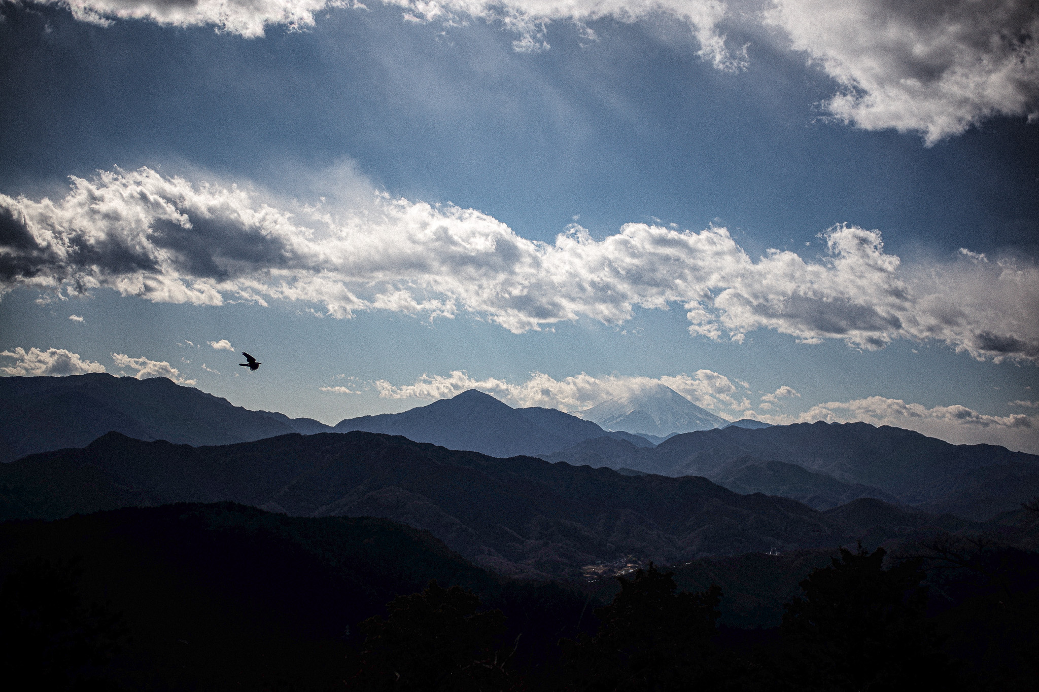 スイス堂 スイスドウ メガネ 眼鏡 めがね 眼鏡屋 メガネ屋 サングラス 時計 時計屋 東京 仙川 東京 調布 京王線 つつじヶ丘 千歳烏山 成城 世田谷 アンバレンタイン ANNEetVALENTIN マイキータ MYKITA ディータ DITA トムブラウン THOMBROWNE テオ THEO トラクション TRACTION レスカ LESCA ジャポニスム JAPONISM ベセペセ BCPC ミューゲ MUGUET スペックエスパス SPECESPACE オークリー OAKLEY エフェクター EFFECTOR マサヒロマルヤマ MASAHIROMARUYAMA ユウイチトヤマ YUICHITOYAMA デュアル DJUAL マイスドロートウキョウ MicedrawTokyo タレックス TALEX カールツァイス Carl Zeiss セイコー SEIKO ホヤ HOYA ニコン NIKON 二デック NIDEK 無相創 大杉漣 大杉隼平 日本 福井 福井県 鯖江 鯖江市 フランス パリ ドイツ ベルリン ベルギー アントワープ アメリカ ニューヨーク ロサンゼルス 古道具 アンティーク ビンテージ 無垢材 オーク インダストリアル 多肉植物 多肉 サボテン 水耕栽培 ドライフラワー アグラオネマ 花 店舗改装 SEYRIG Lesca LUNETIER “Vintage Crown Panto Black 6mm” MYKITA DAMIR DOMA BRADFIELD 丸めがね 工場 鯖江 金沢 福井県 BARNS SEIKO 銀座 時計塔 WAKO 全国一位 表彰 Lunor ルノア ドイツ THOMBROWNE 2018AW 大杉漣 教誨師 写真展 錆鉄御納戸(Sabitetsuonando) 鎚目 ポストカード メガネ拭き JAPONISM BCPC MUGUET KIDS キッズ 子供用メガネ 子供 photo by Shumpei Ohsugi サンタ サンタクロース クリスマス ハーバリウム feellog log blue water flowers 正月飾り LOVISA ライカ leiica 徳島 藍染 MONDAINE SWISS WATCH スイス モンディーン BRUTUS ブルータス 雑誌 漣さん 眼鏡 ベルギー アントワープ サンプル Dunedin Station udon うどん 徳島 新聞 カレンダー 藍染 平成 令和 JUST SING blue water flowers ROBERT MARC 御木 惇史 雨と山 ドラマー UNITED ライカ LEICA M 紫外線 対策 トランクショー 丸田ストアー 小金井 JAPONISM sence 写真集 ヴィンテージ フォトコンテスト 狛江 世田谷 成城 つつじヶ丘 blue water flowers 西荻窪 ふたあい 藍 藍染 NOHGA HOTEL UENO 1st Anniversary PARTY スペックエスパス specespace micedraw マイスドロー トウキョウ クリスマス 限定 サンキライ 年末年始 wonton ワンタン P4 CP+ super pose REBUILD メリークリスマス クリスマス Merry Christmas 2020 フリーマーケット モギ シンゴ 宍戸錠 伊勢丹 新宿 山吹 花 マルタンマルジェラ Maison Margiela テレワーク 在宅勤務 家メガネ セルロイド チャリティー Tシャツ EYEVAN アイヴァン チャリティー Tシャツ GERNOT LINDNER ゲルノットリンドナー 代官山 代官山スタジオ 徳島 阿波銀行 さばえ めがね キャンペーン PICA P38 P21 ICON OGRE GAB2 HERI GASTON BURT TORO LA CORB'S VINTAGE 1964 EYEVAN7285 10eyevan MYKITA & BERNHARD WILLHELM DAISUKE HERI Jacques Durand PAQUES LEVANT SAKHALINE FORMAT 猫 ネコ ねこ 前川國男 東京都美術館 ROCHET ロシェ 時計バンド KAN SANO spinach Awesome City Club PICAS 今井朋彦 アーモンド 上勝 こどもの一生 下北カオスビール スーパーOzeki 京王ストア TOGA トーガ 夜を走る サーモント ブロー plantin Eyevol SYBIL アド街ック天国 冬薔薇 宇津木えり eriutsugi PayPay 真美堂手塚箔押所 佐々木希 ミモザ NORUT モードオプティーク MODE OPTIQUE PICA ピカ 有吉くんの正直さんぽ 御木惇史 Hao's Optical 台湾 FOR YOU DJ YAS KEMURIPRODUCTIONS KISSO 耳かき lazare studio